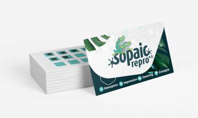 Carte de fidelite standard recto/verso